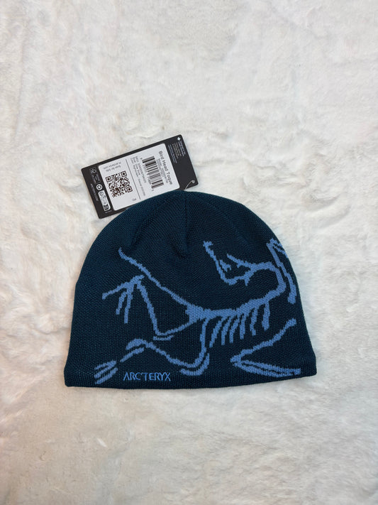 Bonnet Arc'teryx Bleu